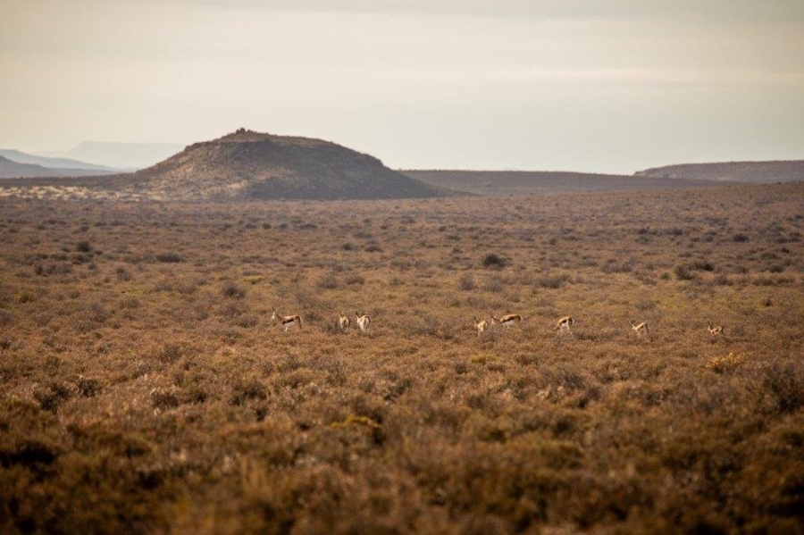 0 Bedroom Property for Sale in Victoria West Rural Northern Cape